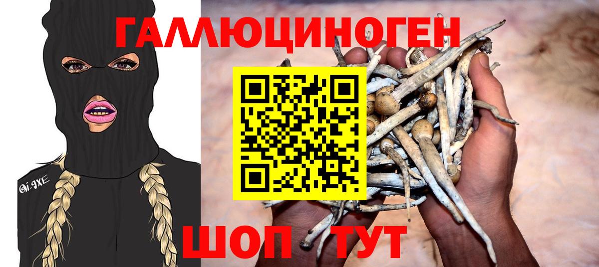 Псилоцибиновые грибы MAGIC MUSHROOMS Вичуга