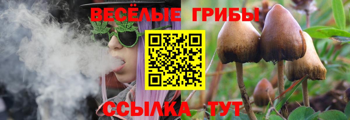 Псилоцибиновые грибы Psilocybine cubensis  Вход с VPN  Галлюциногенные грибы GOLDEN TEACHER  Вичуга 